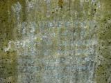 image of grave number 205700